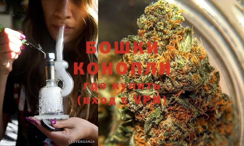 Бошки марихуана THC 21%  мега онион  Владикавказ 